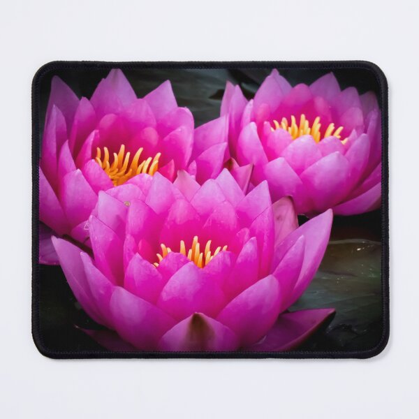 Item preview, Pink Lotus by Brandon Cable  designed and sold by BrandonArtWorld.