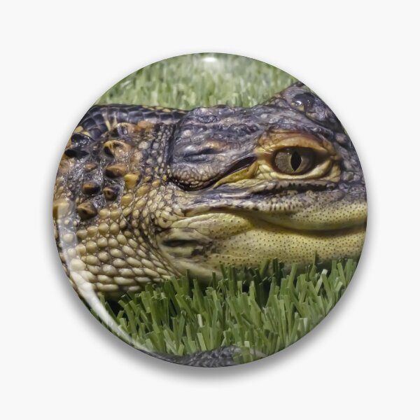 Item preview, Baby Alligator by Brandon Cable  designed and sold by BrandonArtWorld.