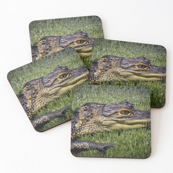 Item preview, Baby Alligator by Brandon Cable  designed and sold by BrandonArtWorld.