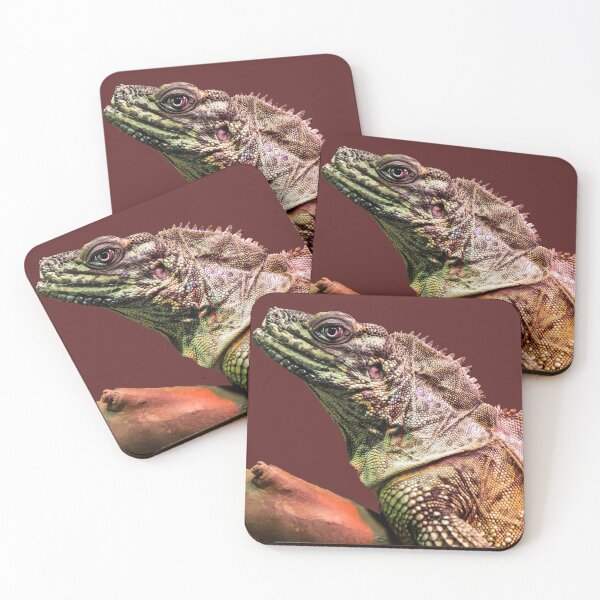 Item preview, Sailfin Dragon designed and sold by Nomadic Spirit Studios.