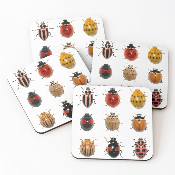 Item preview, Bug friends designed and sold by Kate Bruno.