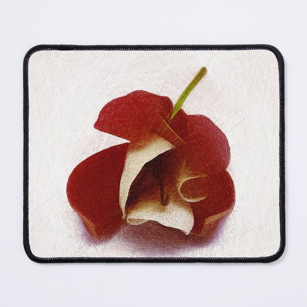 Item preview, Red fuchsia flower on a white background. Created entirely using lines. designed and sold by janesg.