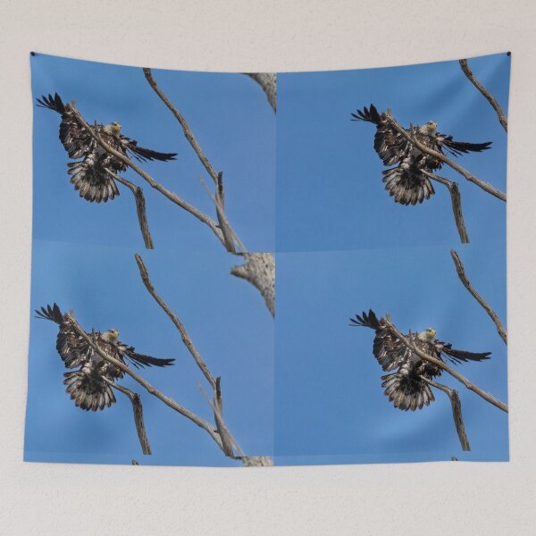 Item preview, Bald Eagle Juvenile Landing designed and sold by PsychoAlien.com.
