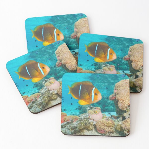 Item preview, Tropical fish anemonefish with sea anemones in the ocean designed and sold by Seaphotoart.