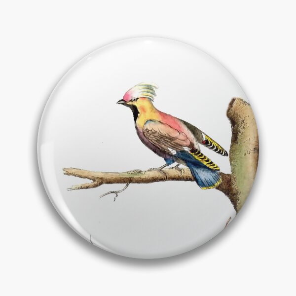 Item preview, Antique French Bird Engraving designed and sold by louisxvpod.