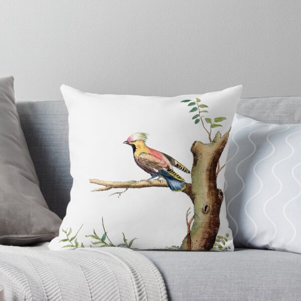 Item preview, Antique French Bird Engraving designed and sold by louisxvpod.