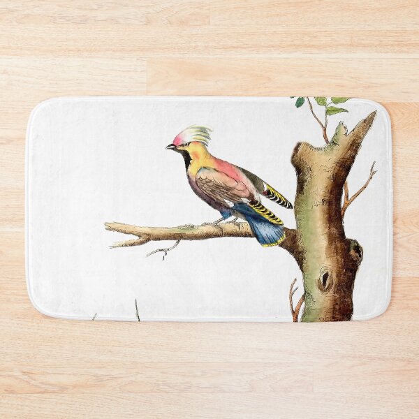 Item preview, Antique French Bird Engraving designed and sold by louisxvpod.