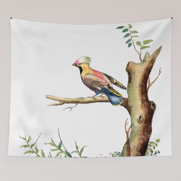 Item preview, Antique French Bird Engraving designed and sold by louisxvpod.