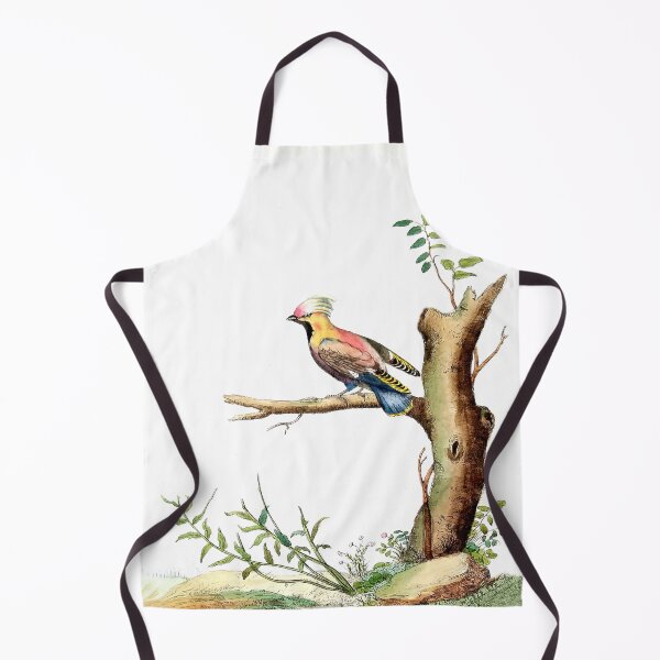 Item preview, Antique French Bird Engraving designed and sold by louisxvpod.