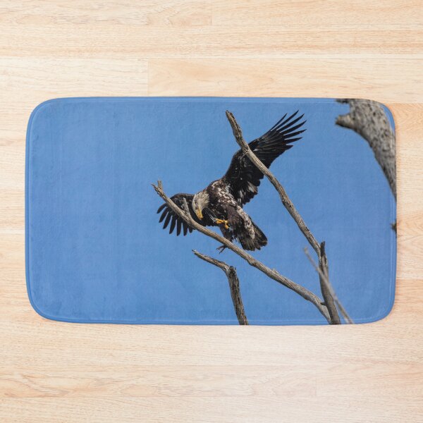 Item preview, Bald Eagle Juvenile Landing Practice designed and sold by PsychoAlien.com.