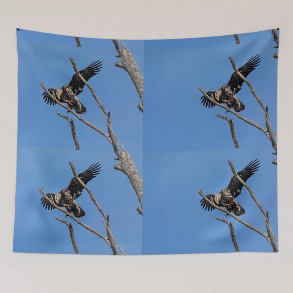 Item preview, Bald Eagle Juvenile Landing Practice designed and sold by PsychoAlien.com.