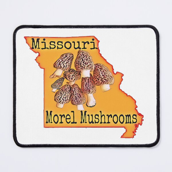 Item preview, Missouri  Morel Mushrooms designed and sold by natnat7w.
