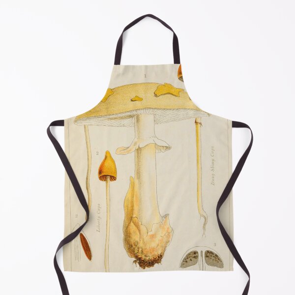 Item preview, Antique Vintage Mushroom Illustration 11 designed and sold by ThePettyDetails.