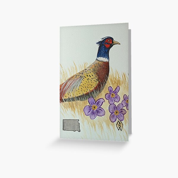 Item preview, South Dakota state bird & flower, the ring-necked pheasant and American pasque designed and sold by Matt Starr.