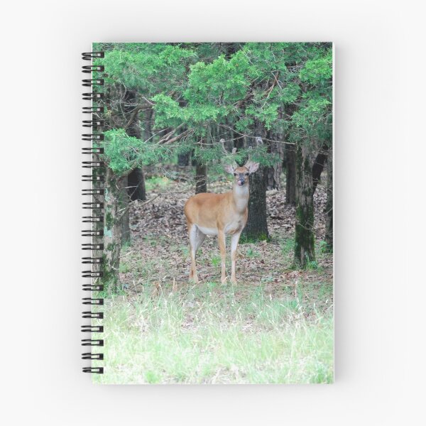 Item preview, Mount Nebo Deer designed and sold by FrogQueenKira.