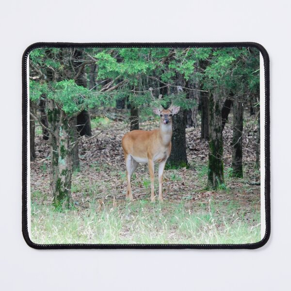Item preview, Mount Nebo Deer designed and sold by FrogQueenKira.