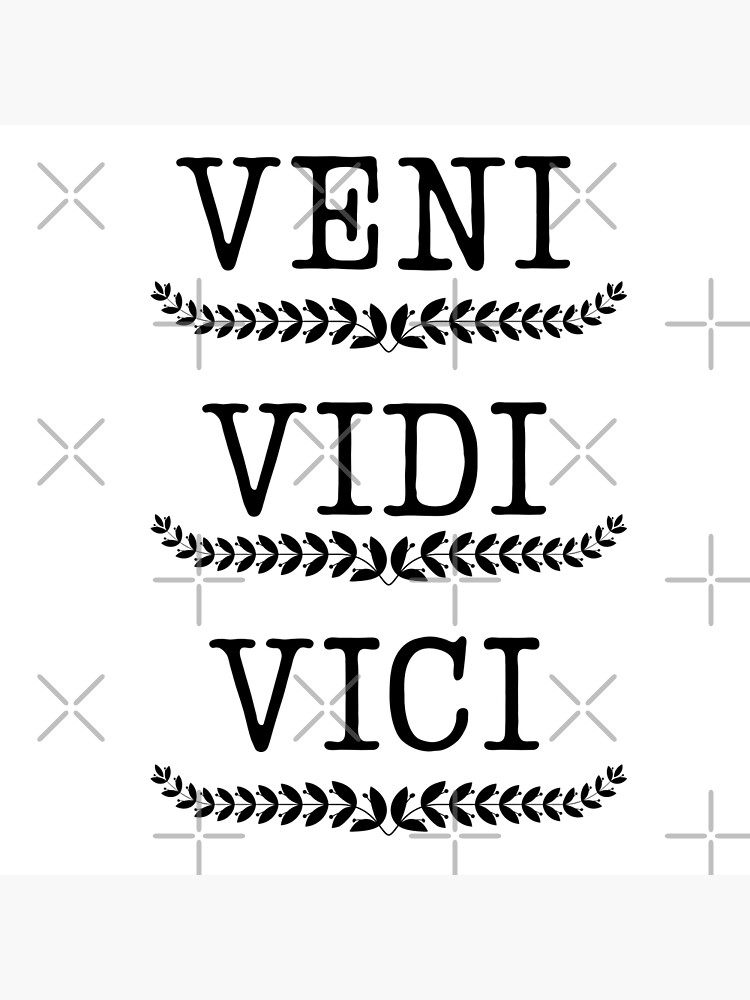 VENI VIDI VICI ROMAN EMPIRE | Art Board Print