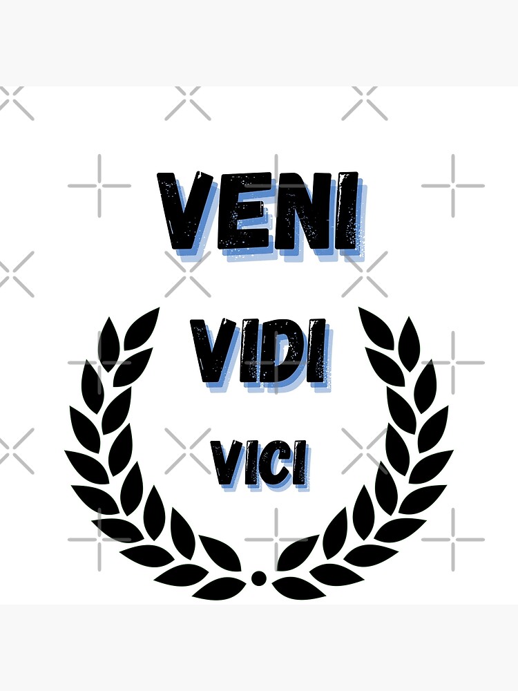 veni vidi vici quote | Art Print