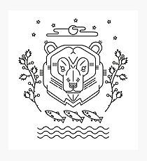 Scandinavian Bear Photographic Print