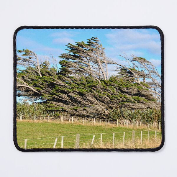 Item preview, New Zealand, on the road from Te Anau to Dunedin designed and sold by franck380.