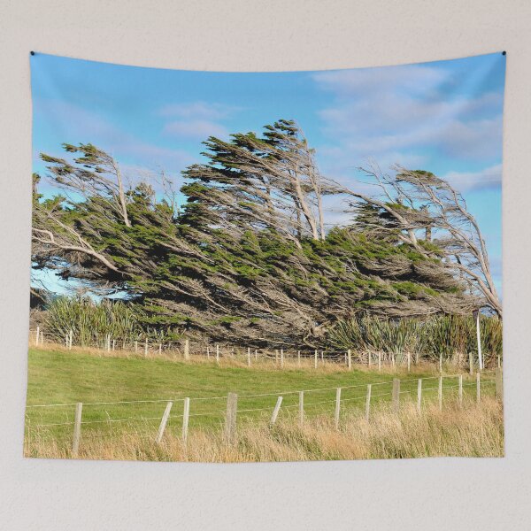 Item preview, New Zealand, on the road from Te Anau to Dunedin designed and sold by franck380.