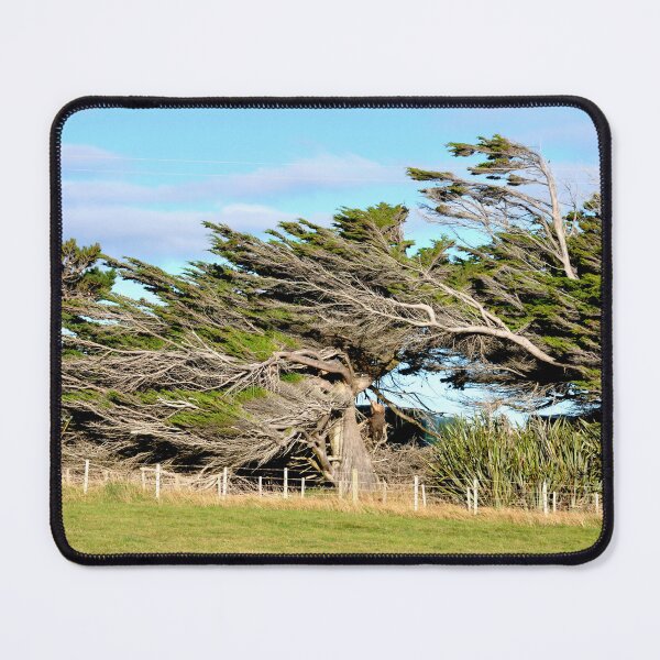 Item preview, New Zealand, on the road from Te Anau to Dunedin designed and sold by franck380.