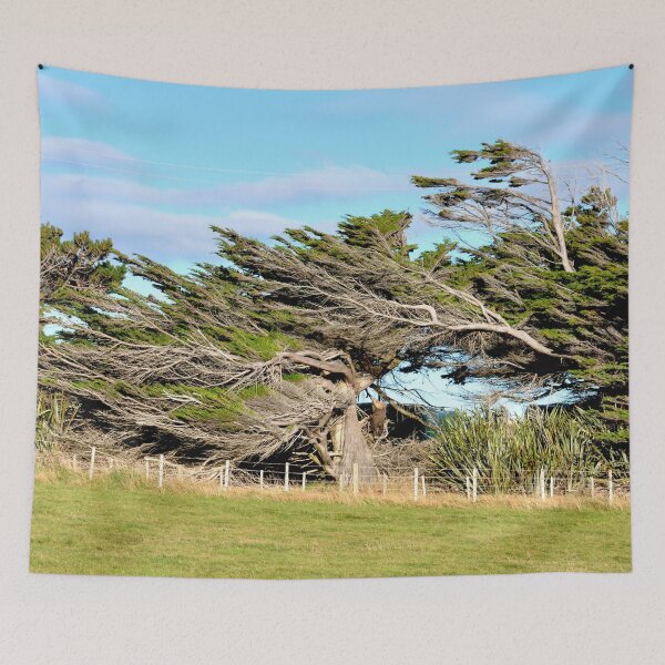 Item preview, New Zealand, on the road from Te Anau to Dunedin designed and sold by franck380.