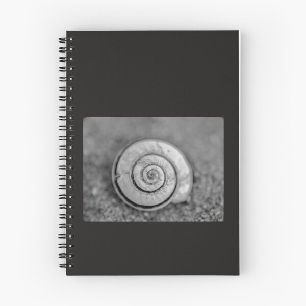 Item preview, Shell designed and sold by Teresa Govantes.