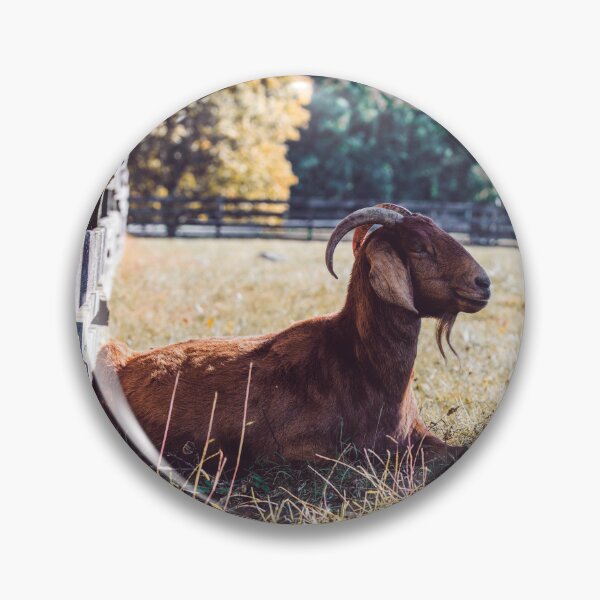 Item preview, Goat designed and sold by akiobsession.
