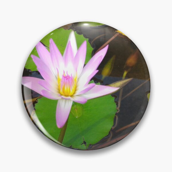 Item preview, Lotus Flower designed and sold by Bernsberry Illustrations.