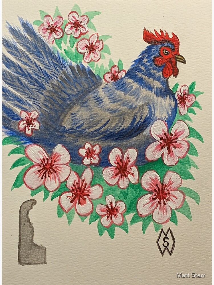 Rise and shine rooster - Matt Starr Fine Art - Paintings & Prints, Animals,  Birds, & Fish, Farm Animals, Chickens, Roosters - ArtPal