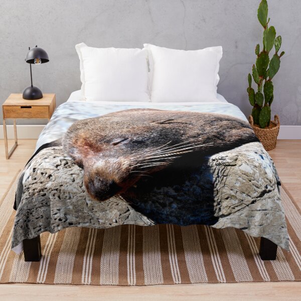 Item preview, New Zealand - Kaikura Peninsula designed and sold by franck380.