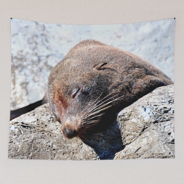 Item preview, New Zealand - Kaikura Peninsula designed and sold by franck380.
