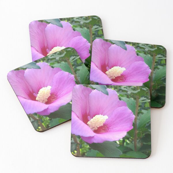 Item preview, Dainty Violet Flower  designed and sold by Bernsberry Illustrations.