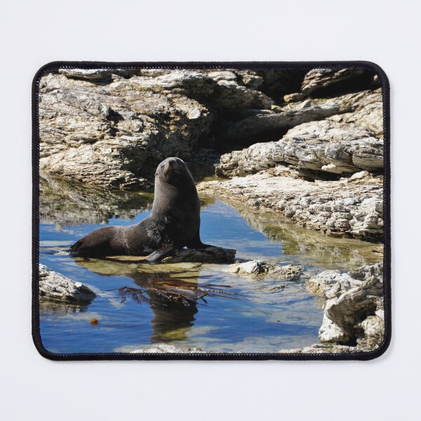 Item preview, New Zealand - Kaikura Peninsula designed and sold by franck380.