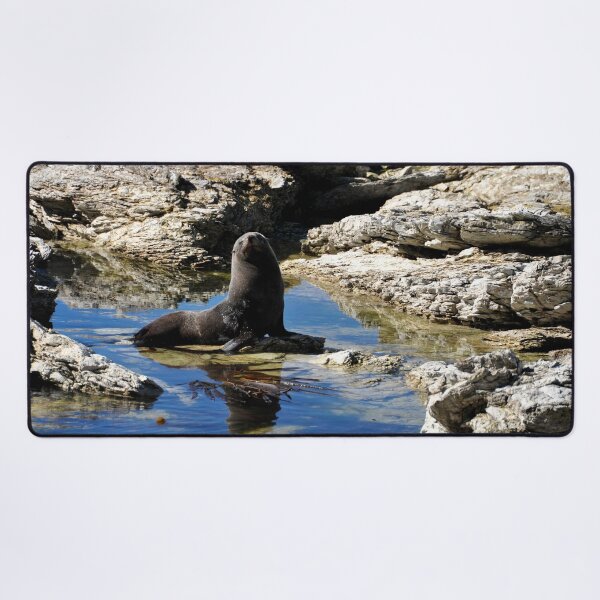 Item preview, New Zealand - Kaikura Peninsula designed and sold by franck380.