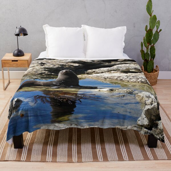 Item preview, New Zealand - Kaikura Peninsula designed and sold by franck380.