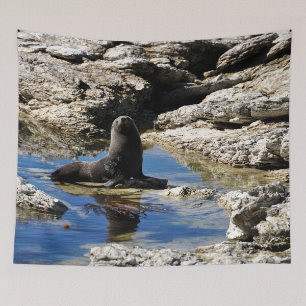 Item preview, New Zealand - Kaikura Peninsula designed and sold by franck380.