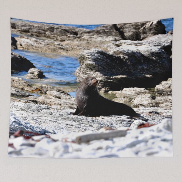 Item preview, New Zealand - Kaikura Peninsula designed and sold by franck380.