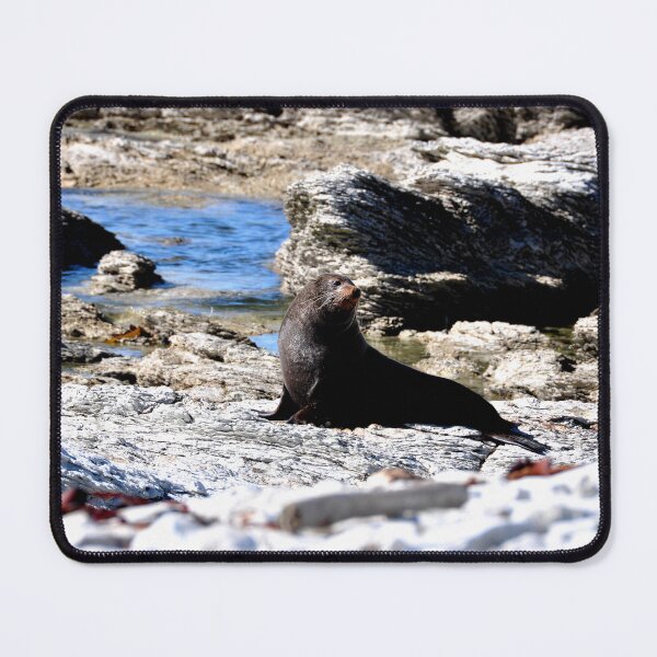 Item preview, New Zealand - Kaikura Peninsula designed and sold by franck380.
