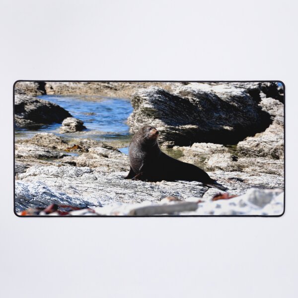 Item preview, New Zealand - Kaikura Peninsula designed and sold by franck380.