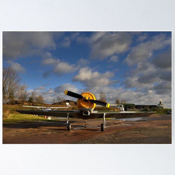 Item preview, Acrobatic II designed and sold by Richard Allen.
