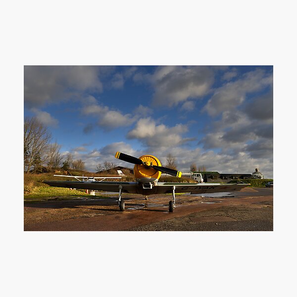 Item preview, Acrobatic II designed and sold by Richard Allen.