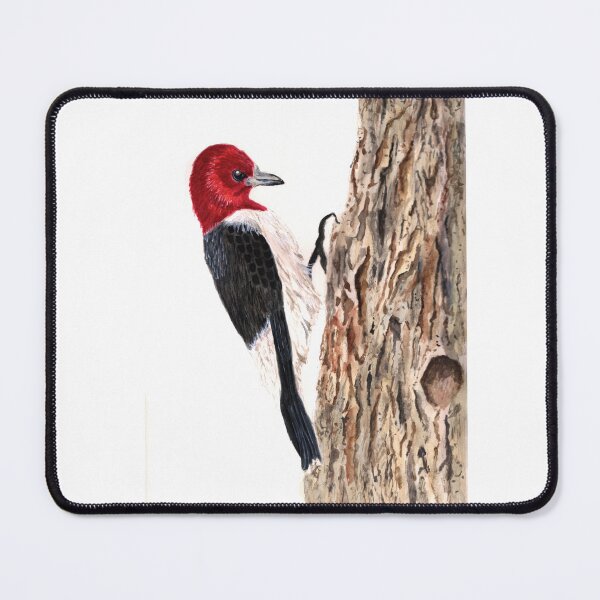Item preview, Redheaded Woodpecker Watercolour Art Print designed and sold by BirdsNatureArt.