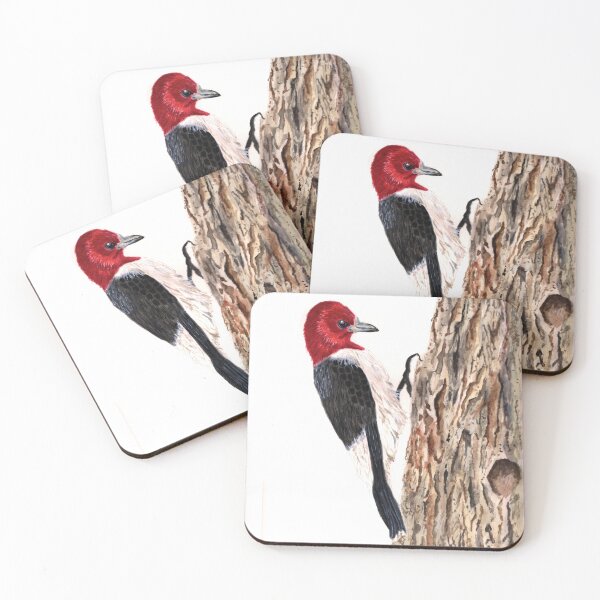 Aperçu de l'œuvre Aquarelle de pic rousse Impression artistique créée et vendue par BirdsNatureArt.