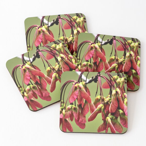 Item preview, Seedlings designed and sold by allylabonte.