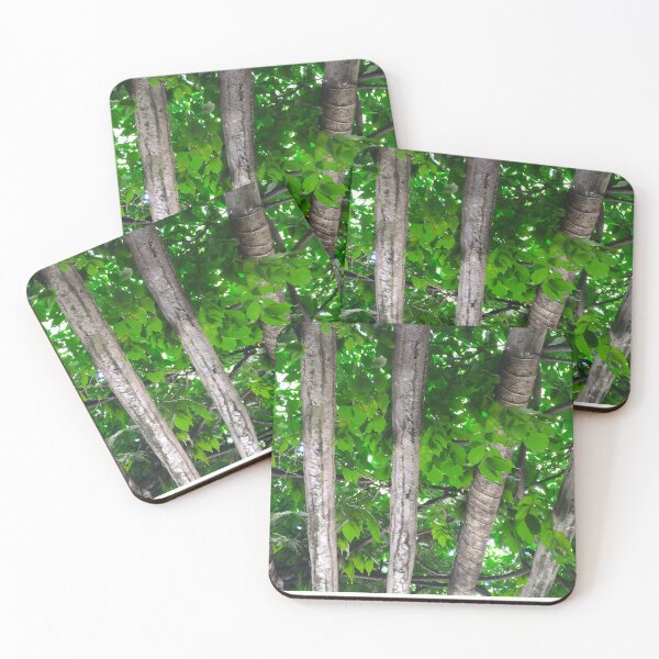 Artikelvorschau, Vibrant Green Foliage Ceiling entworfen und verkauft von Bernsberry Illustrations.