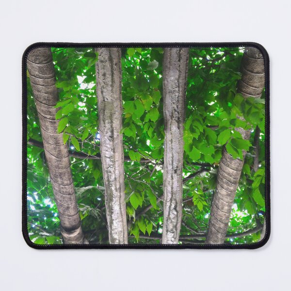 Item preview, Vibrant Green Foliage Ceiling designed and sold by Bernsberry Illustrations.