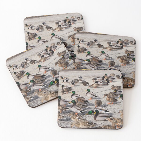 Item preview, Mallard Duck Flock On The Pavement designed and sold by BackyardBirder.