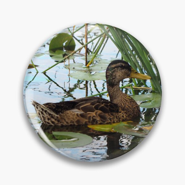 Item preview, Duck Hiding In Some Bulrush designed and sold by BackyardBirder.